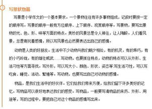 想象的作文350字7篇