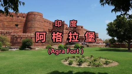 fort怎么读