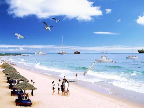 海滨的拼音组词，海滨的拼音怎么写的拼音怎么读
