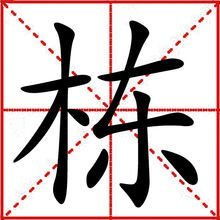 梯组词，梯组词有哪些