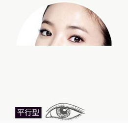 鹅蛋脸适合什么样的发型学生?