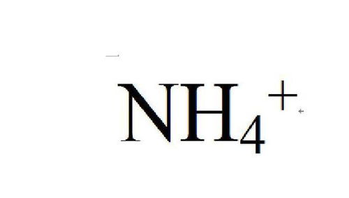 nh4化学名称叫什么?