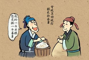 hoodie是什么意思，boyhood是什么意思