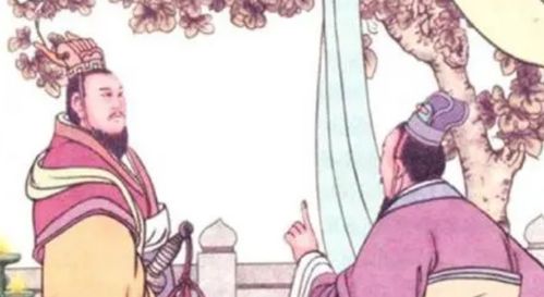 《唐雎说信陵君》中,唐雎对信陵君说话的目的是什么?