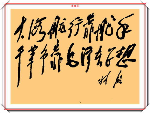 敬仰的意思