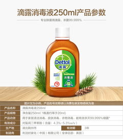 dettol翻译，dettol怎么读