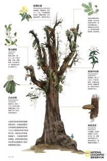 池塘像什么?除了像游泳池还有什么?越多越好!谢