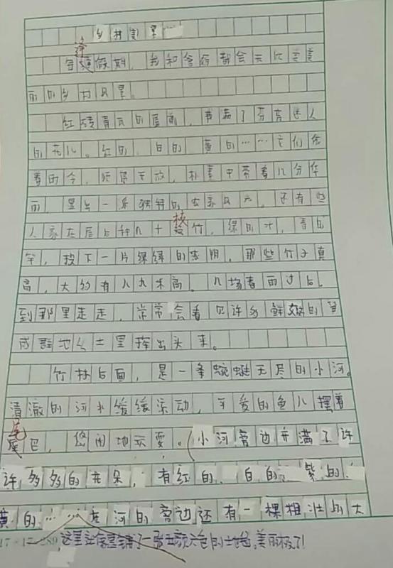 乡村作文400字以上，未来的乡村作文400字
