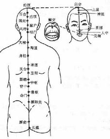 八脉指的是哪八脉，八脉交会歌诀快速记忆
