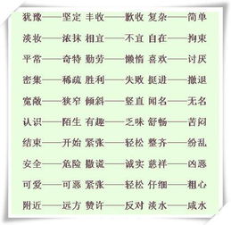 近义词反义词摘抄大全四年级，近义词反义词小学大全