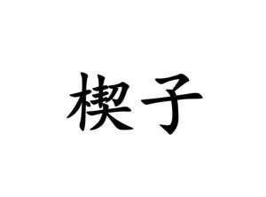 楔字怎么念