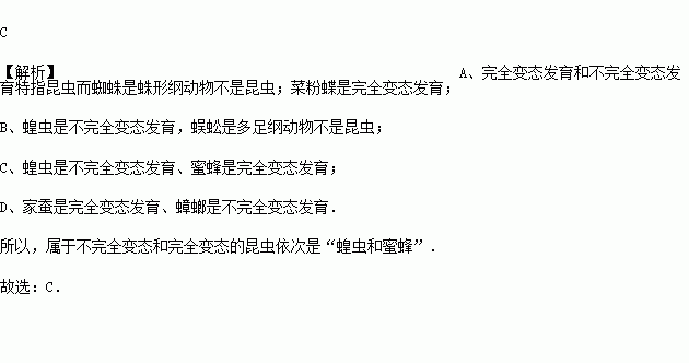 完全变态手册电子书txt全集下载