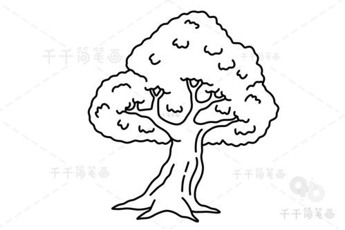 花草树木简笔画怎么画