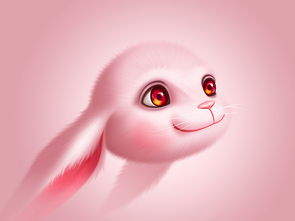 rabit和rabbit的区别，rabiti怎么读