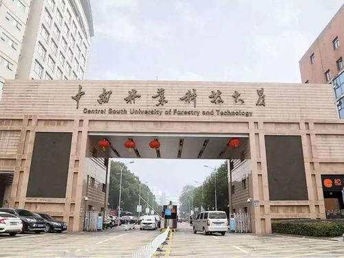 中南林科大全国排名