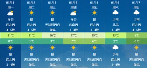 什么天气软件最准确?