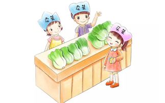 买菜的作文600字，去菜市场买菜的作文