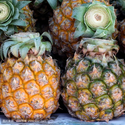 pineapple怎么读?
