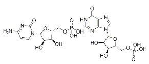 核苷酸的种类为什么有8种?哪八种?