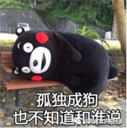 咆哮是什么意思?