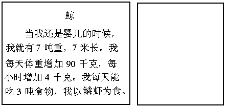 浪能组什么词