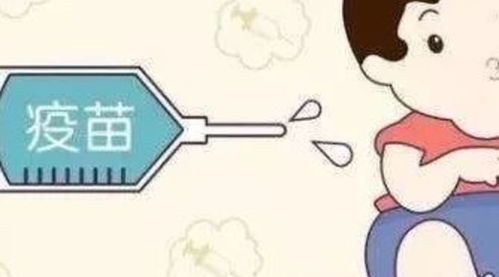 hib是什么疫苗 HIB疫苗是什么