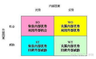 swot指的什么，swot各指什么