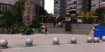 台风对张家界有影响吗