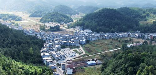 80年代白城市平安镇各个厂名称是什么