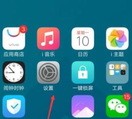 wife?是什么
