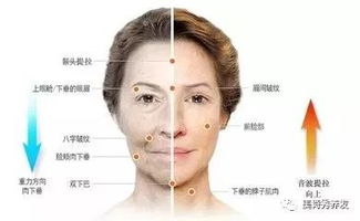面的部首
