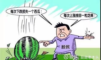 股市故事 电视剧，1988年万科股票故事