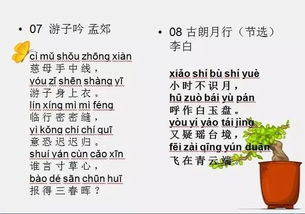 文章的拼音怎么写，誊写文章的拼音