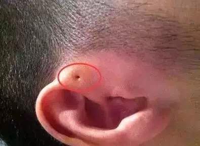 一个旬,一个耳朵旁读什么?