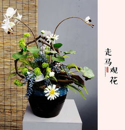 走马观花造句