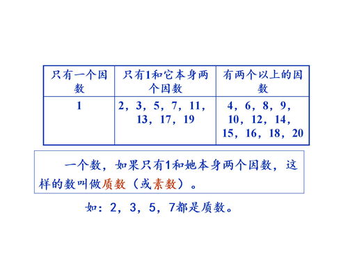 素数和合数是什么