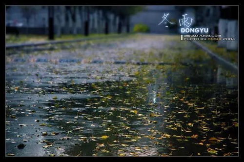 冬雨的古诗