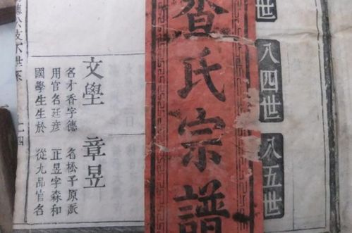全国姓氏人口数量查询