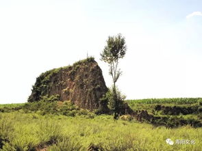 山固是什么意思，一个山一个固字