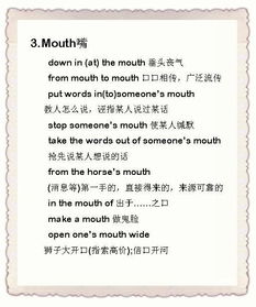 鼻子的单词鼻子的单词是什么