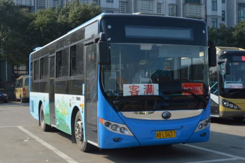 513路公交车线路图，513路公交车线路图片