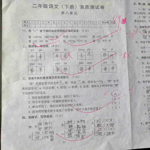 冬天造句一年级