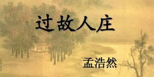 《过故人庄》这首古诗诗意是什么?