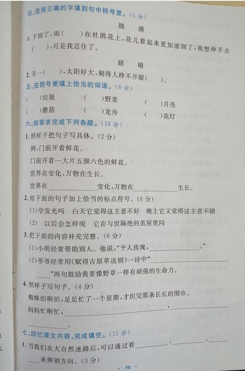 二年级下册作文