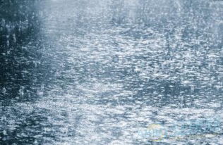 梦见下雨了