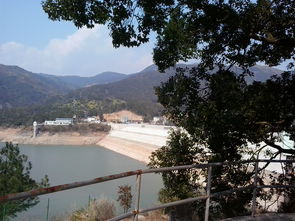 淡溪马岙山，淡溪镇第一小学