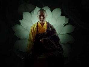 观想科技，观想是什么意思