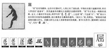 屈组词语和拼音怎么写，屈组词语拼音