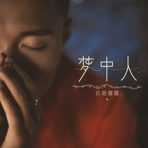 童丽的《梦中人》 歌词