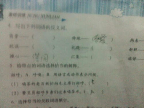 “礼貌”的反义词是什么?
